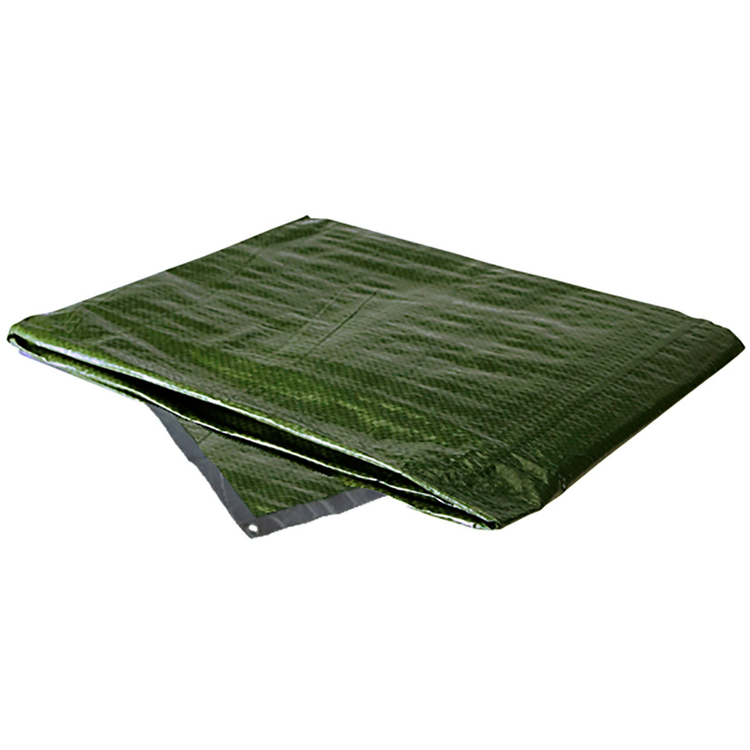 Protective PE Tarpaulin