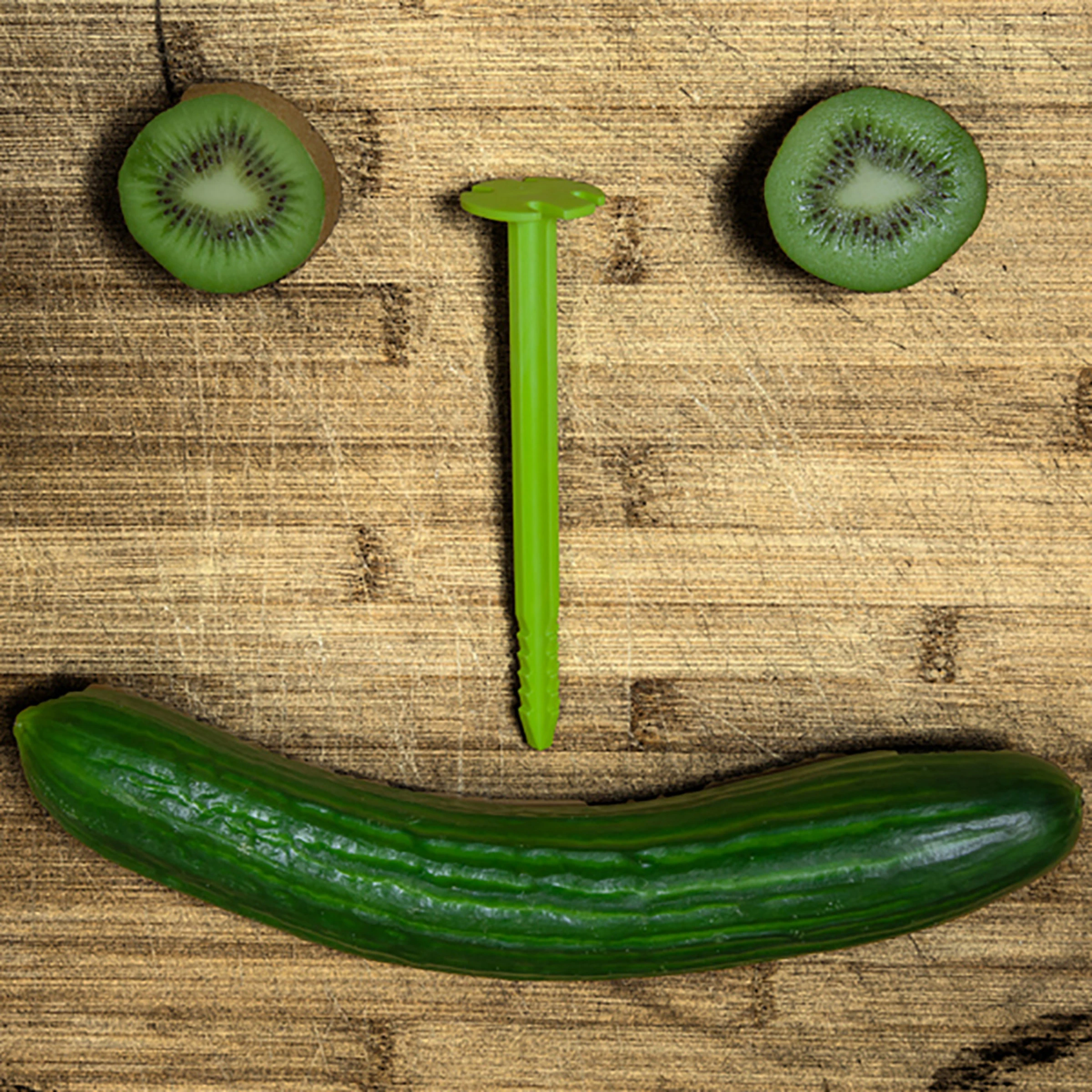 Green Shark 150 - Bilde 7